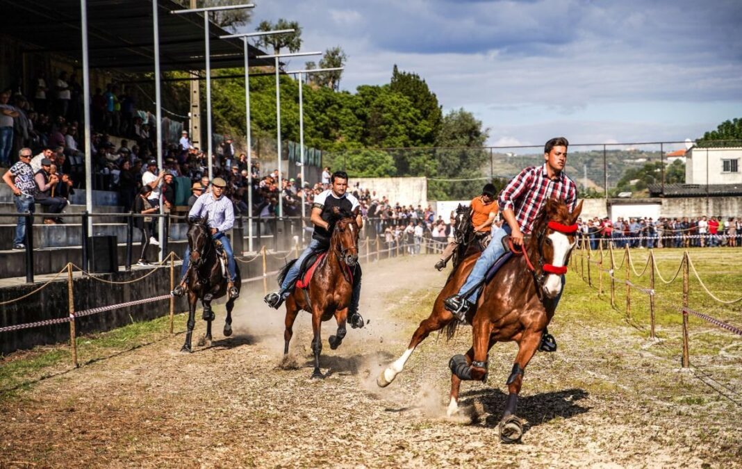 Corridas Cavalos
