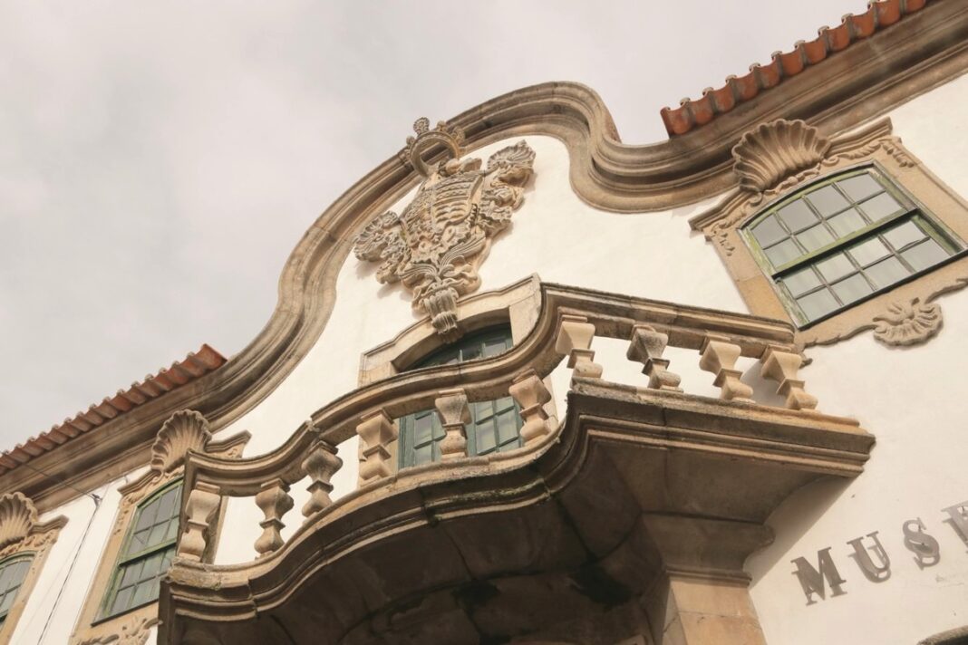 Freixo numao