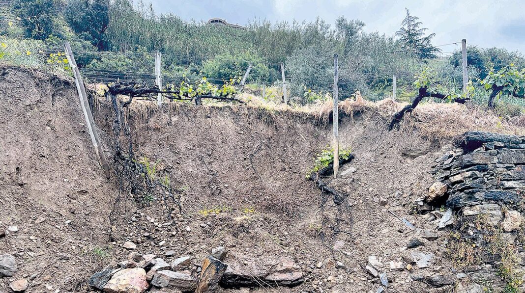 Mesao Frio Concelho ainda sofre com estragos das tempestades EN 1