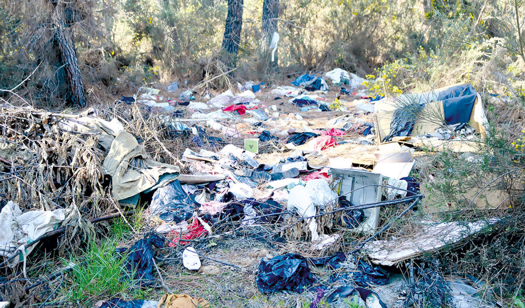 Oposição denuncia lixeira a céu aberto em Lordelo