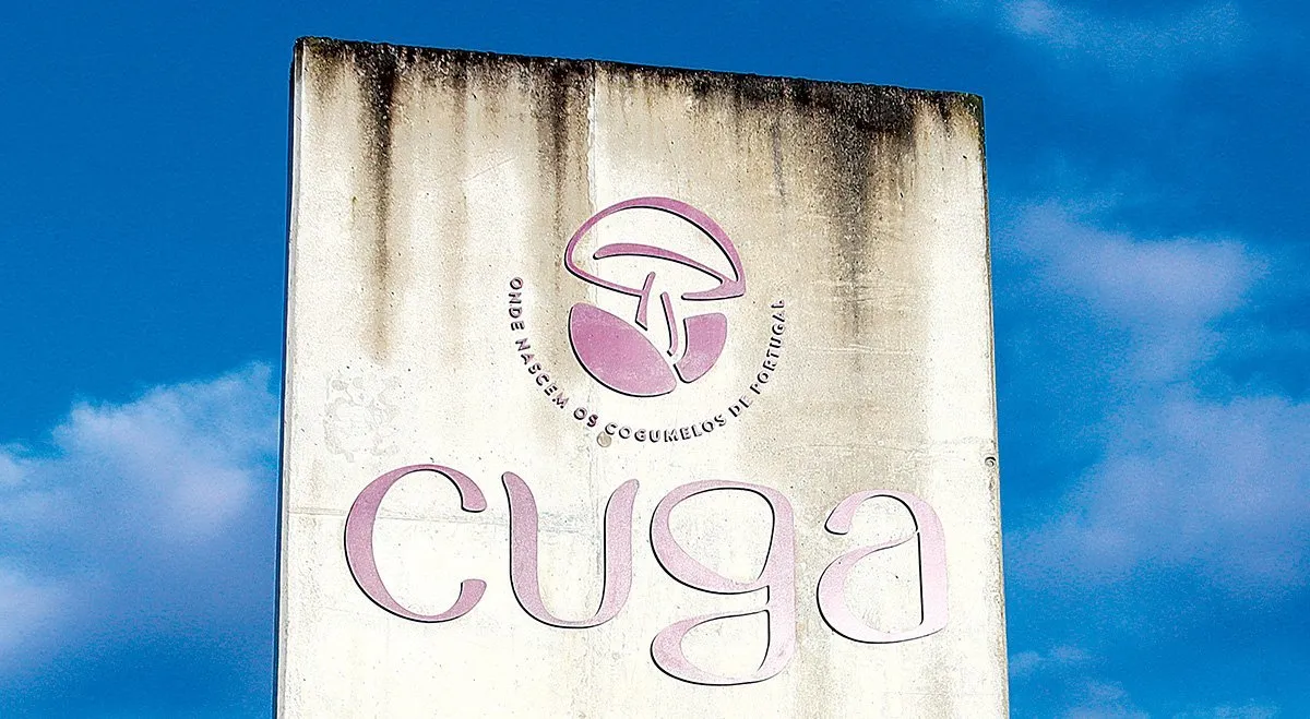 Vila Flor Sindicato denuncia intimidacao na CUGA e empresa responde com mal entendido