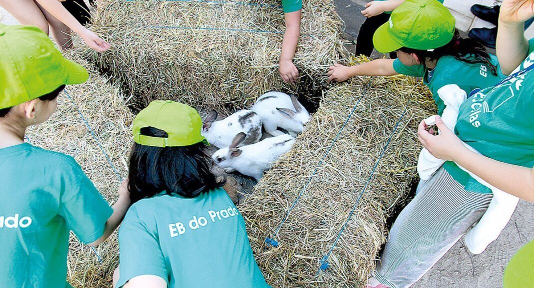 Feira da Primavera na Escola do Prado referencia nacional em educacao ambiental PAM