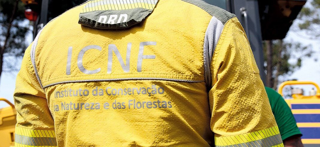 Genericas ICNF PAM 7