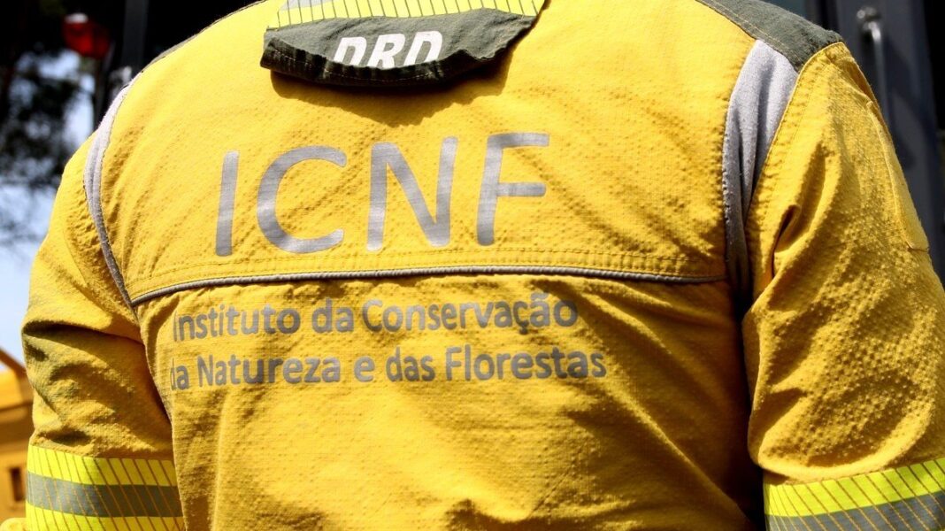 ICNF