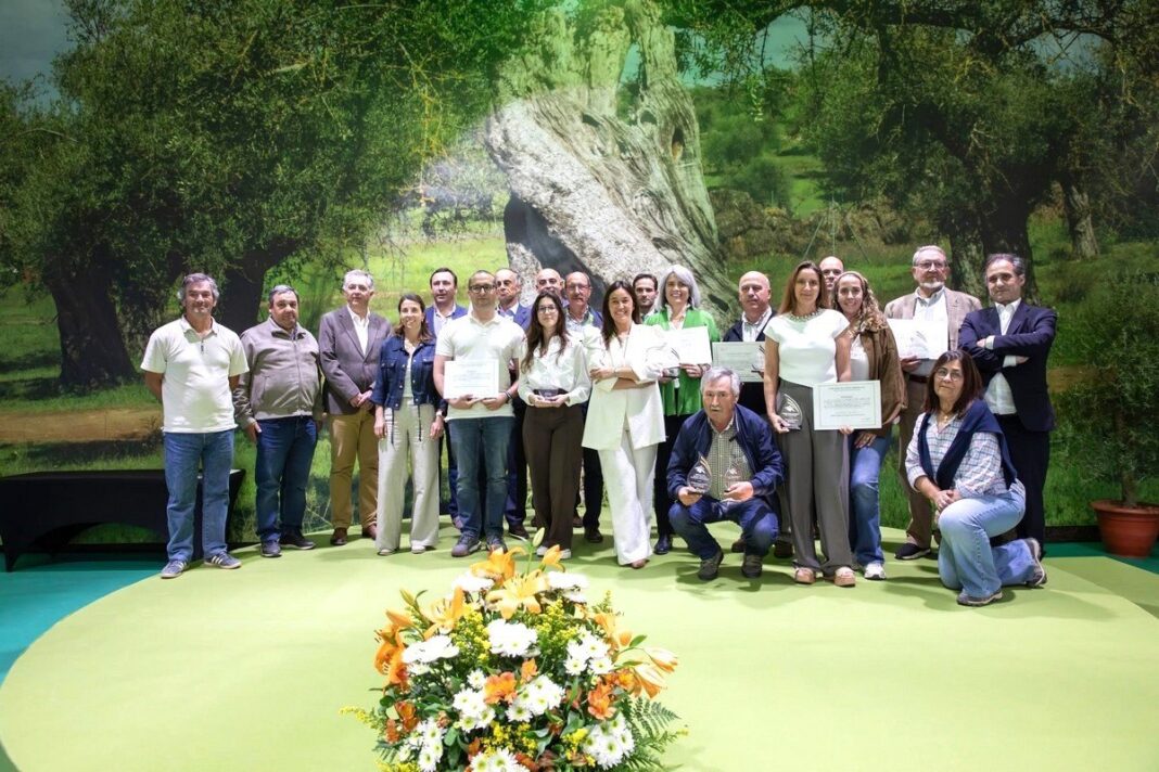 Prémios Concurso Azeite