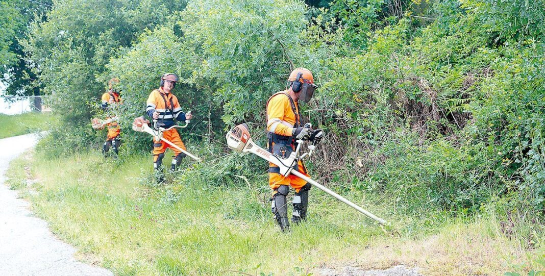 Vila Real Limpeza de Terrenos em Arrabaes 5