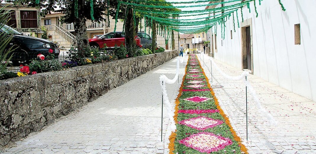 ALIJO Vila Verde cumpre tradicao dos tapetes de flores no Corpo de Deus MM