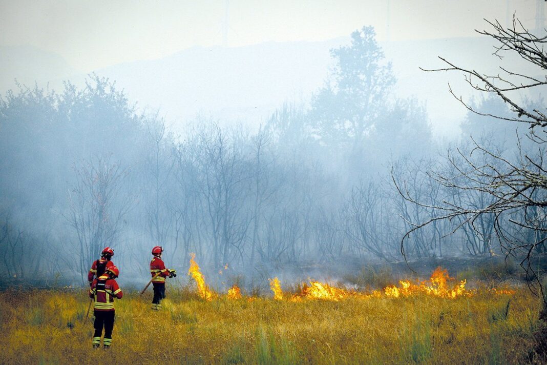 Incendios Vila Pouca de Aguiar 2024 SC 2712