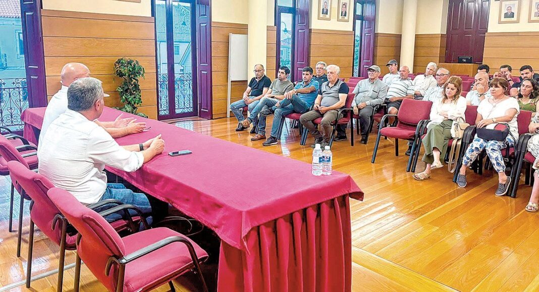 Valpacos Autarquia reforca combate a vespa asiatica
