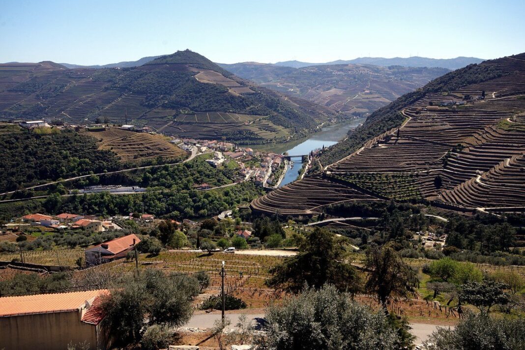 Via Panoramica Alto Douro Vinhateiro Miradouros Estrada Municipal 8 vtm