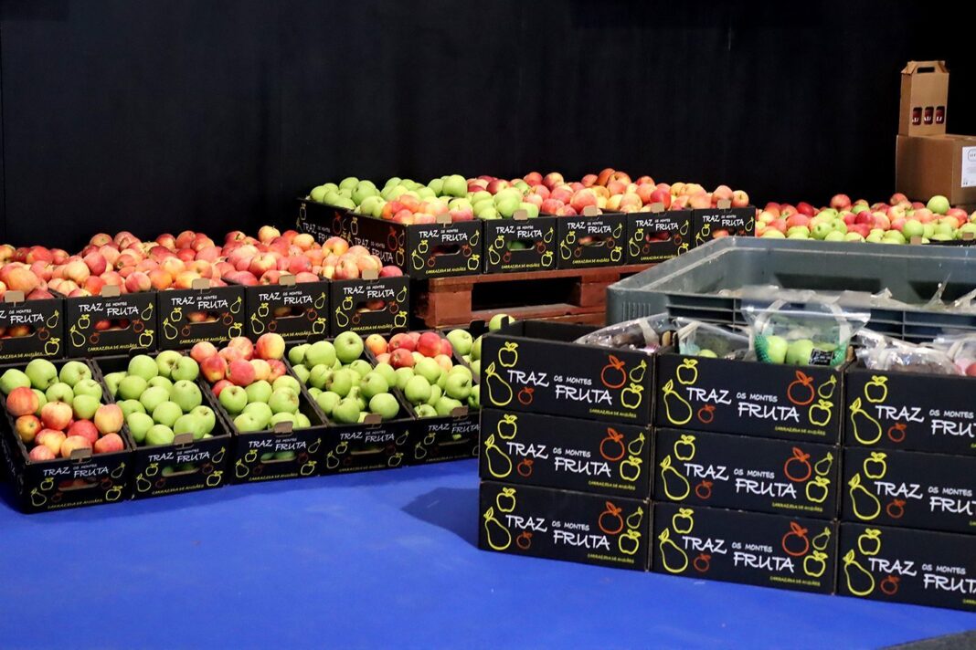 Carrazeda de ansiaes feira da maca 2025 en 92