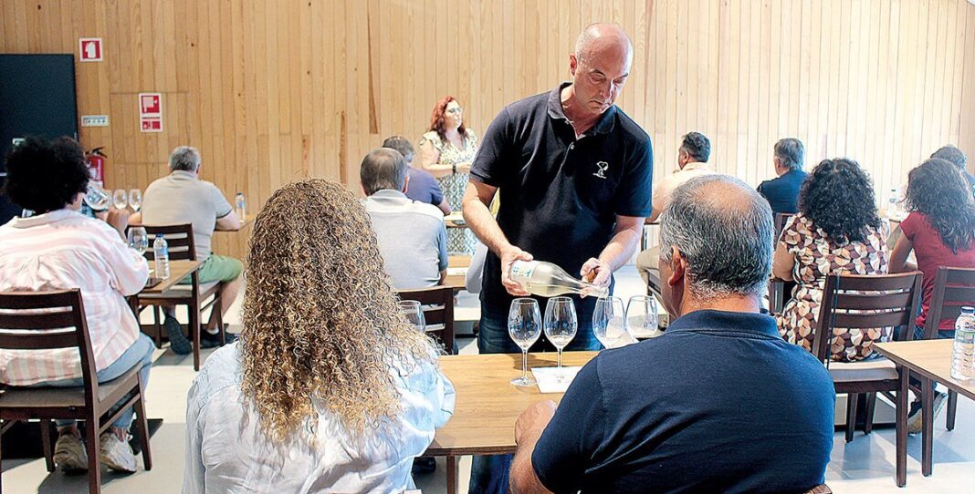 Alijó Vinhos sem álcool no Douro debatido por especialistas ER (1)