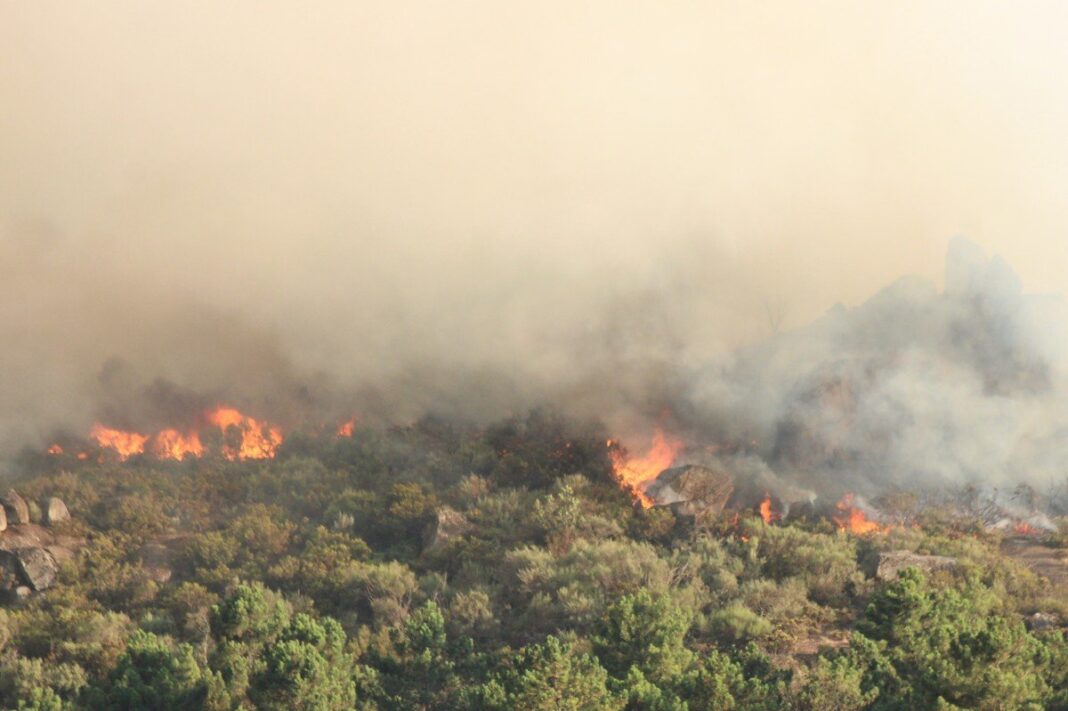 Incêndio em Alijó 2026