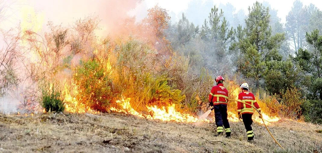 MURCA Incendio colocou em perigo aldeia de Monfebres PAm 1