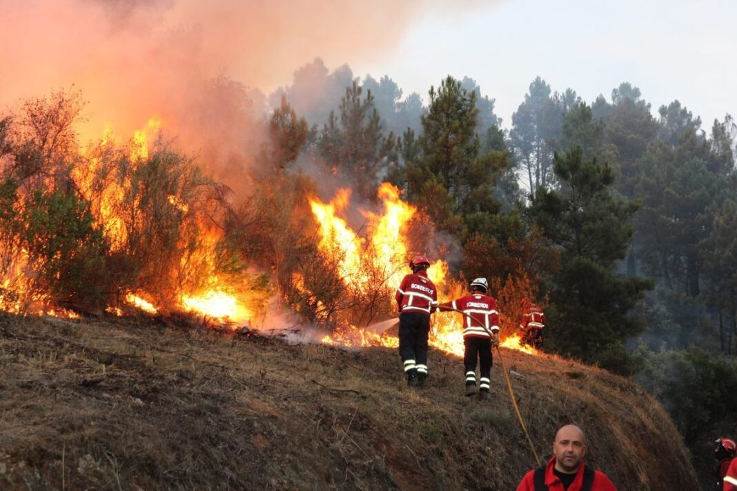 Murca Incendio em Varges e Monfebres 2026 PAM 193