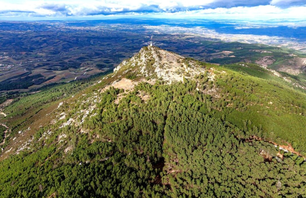 Valpaços reforço proteção florestal