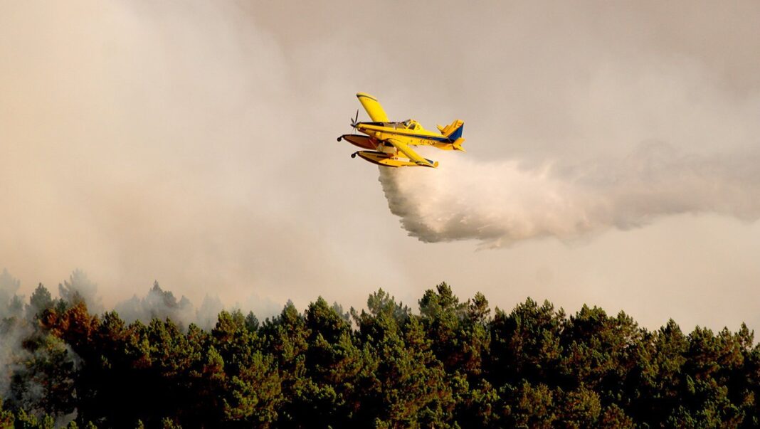Alijo autarquia promete apoiar recuperacao das zonas afetadas por incendio pam 1