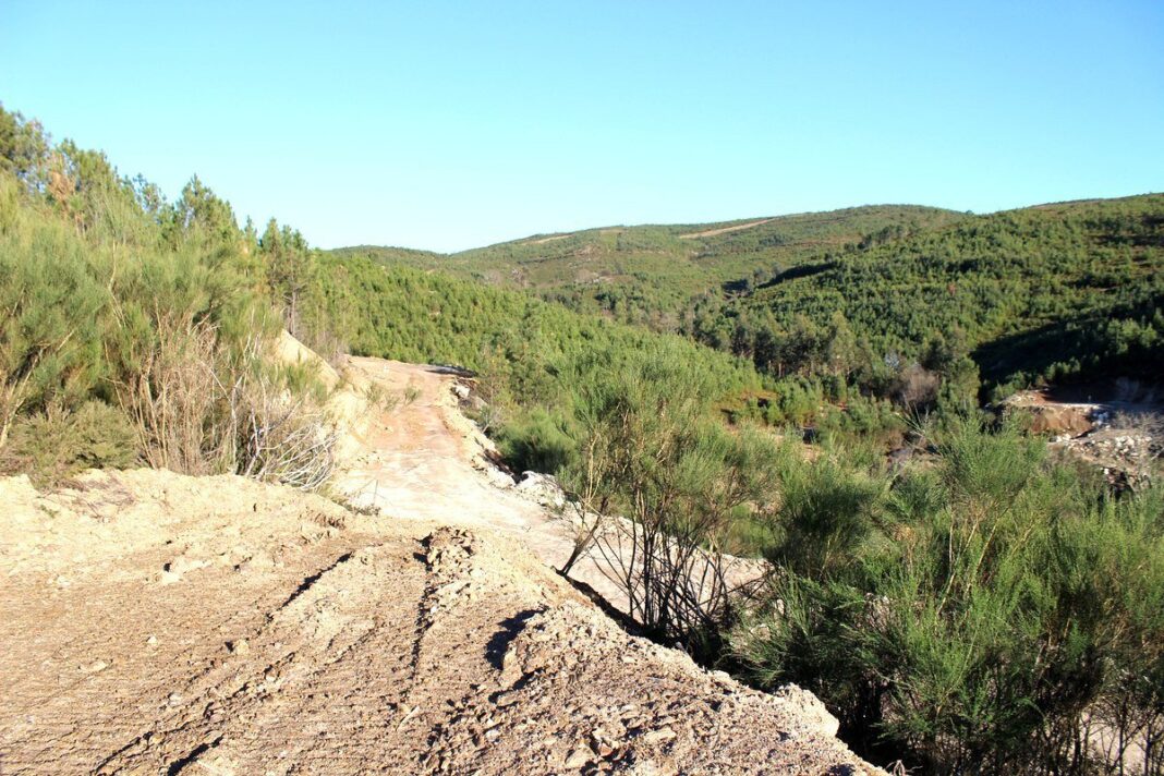 Covas do barroso 110