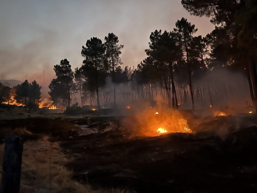 Alijo Incendio em Vilar de Macada a 22 de julho de 2026 PAM