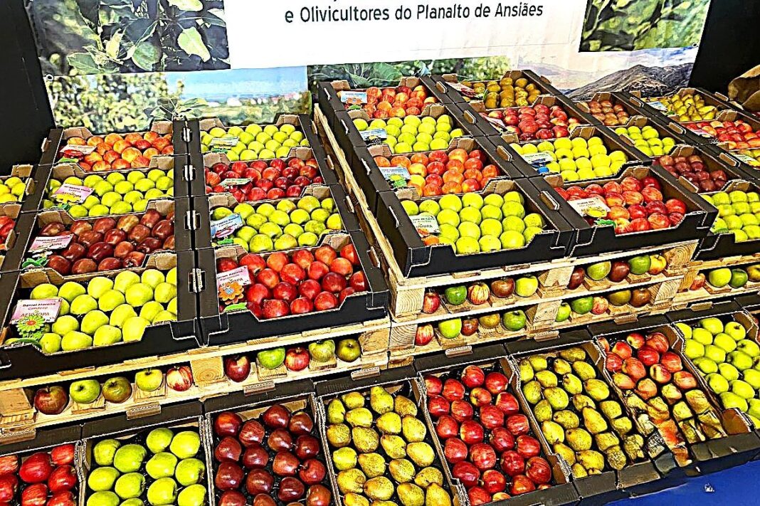 Carrazeda de Ansiaes Feira da Maca vtm