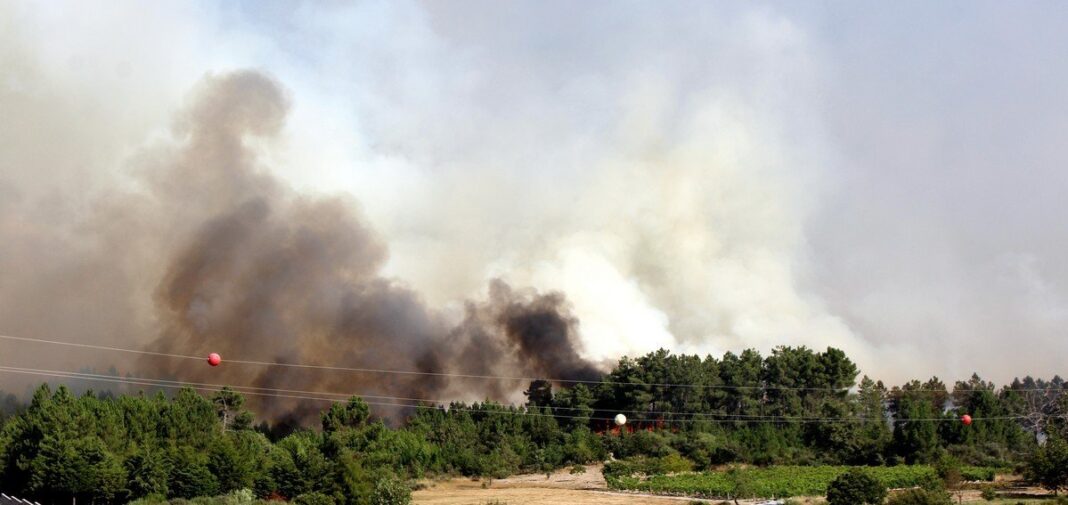 Incendio Alijo