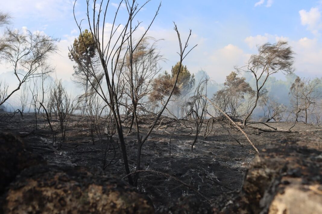 Valpacos Incendio
