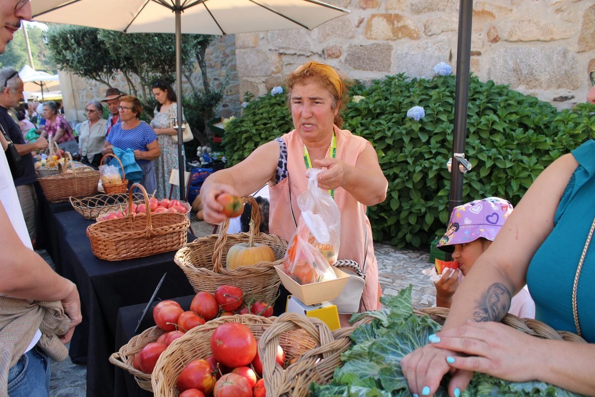 Vila Real Mercado de Arroios Festival Tomate Coracao de Boi do Douro 2026 PAM