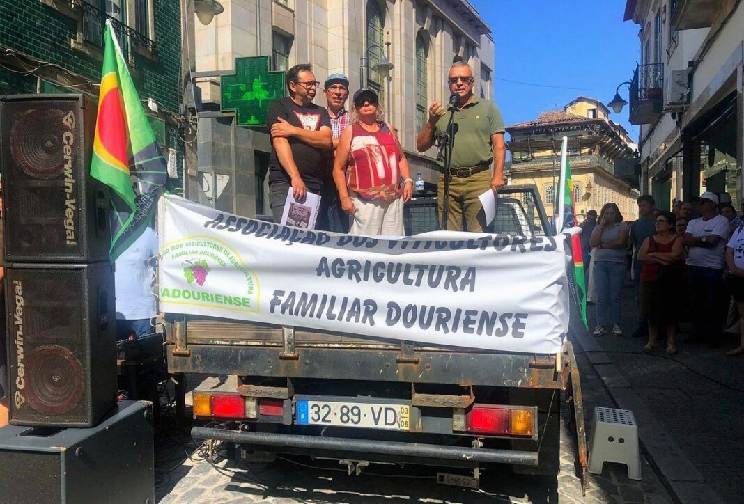 Viticultores do Douro manifestam-se por escoamento das uvas e preços justos