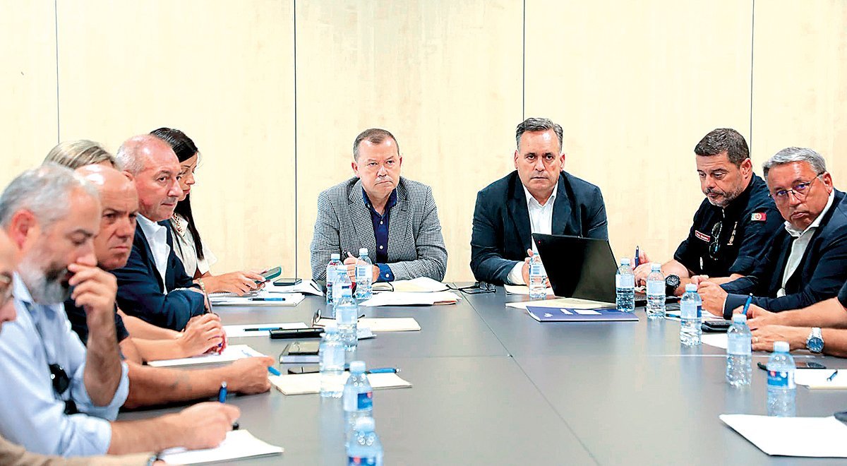 BOTICAS Secretario de Estado apela a utilizacao responsavel da floresta DR