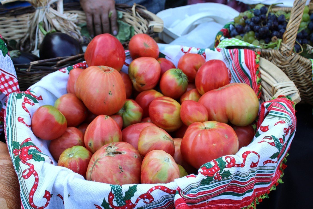 Vila Real Mercado de Arroios Festival Tomate Coracao de Boi do Douro 2026 PAM
